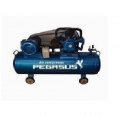2. Máy nén khí pegasus giá tốt nhất thị trường chạy bằng dầu DIESEL
